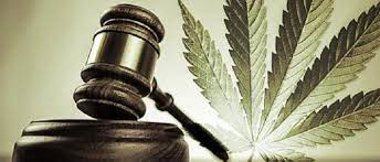 Legalization of Marijuana for Recreational Use Good or Bad?
